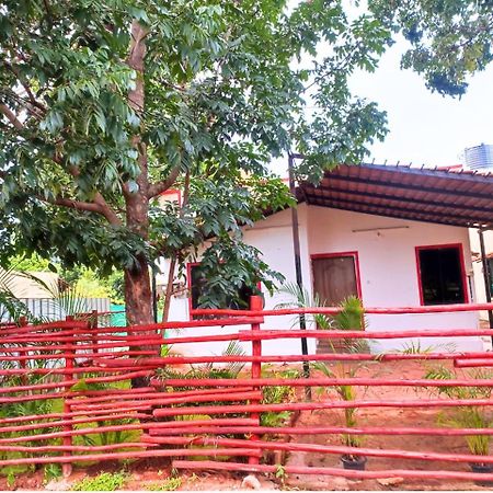 Golden Magnolia Homestay Bangalore Exteriör bild